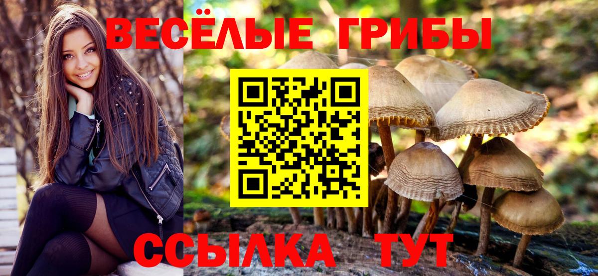 Псилоцибиновые грибы мухоморы Сочи